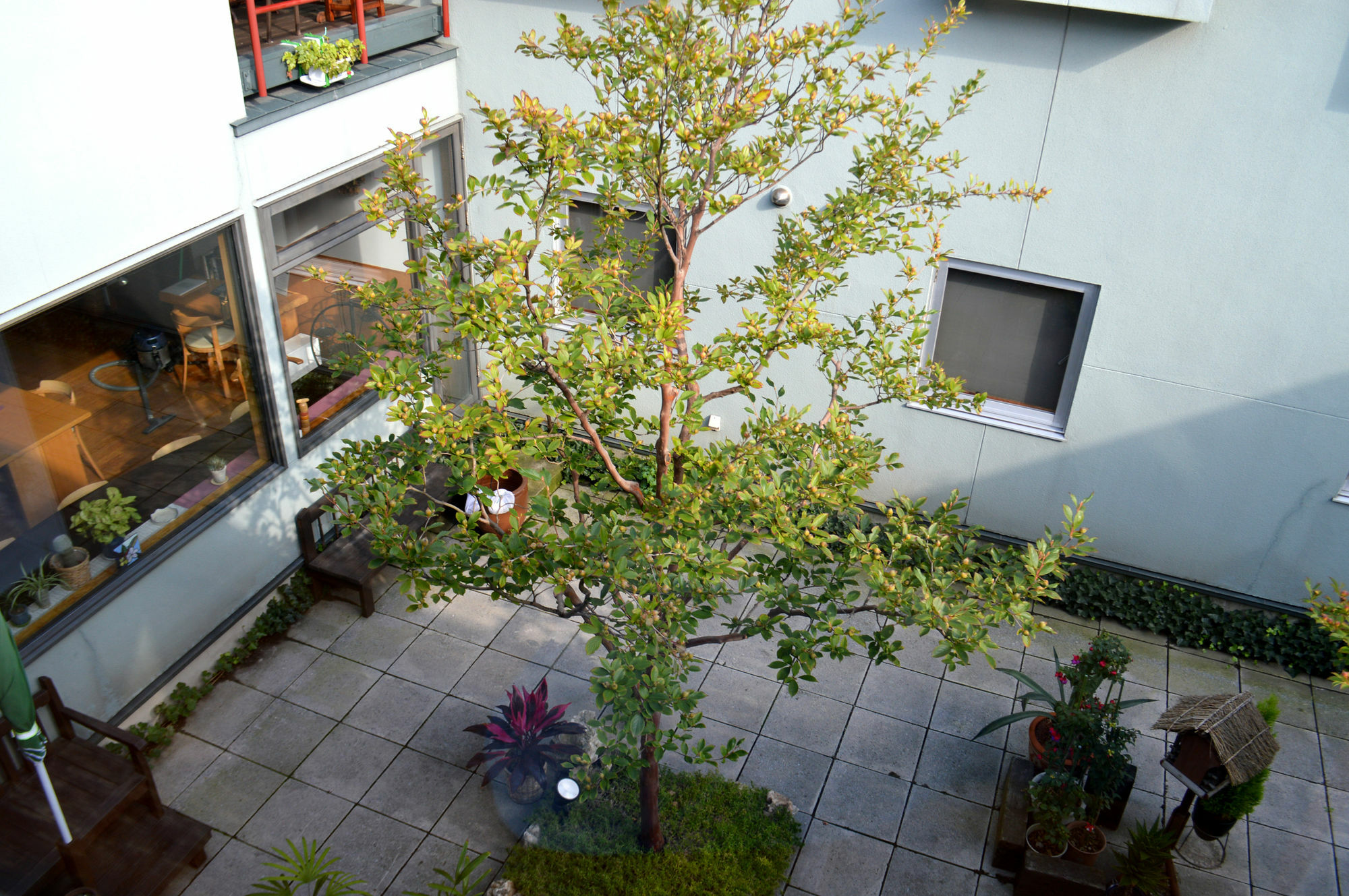 B&B Pension Hakodate-Mura Esterno foto
